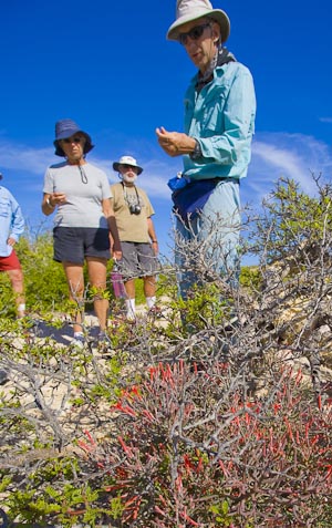 Terry Prichard leads nature walk