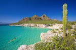 Sea of Cortez, Baja, MX