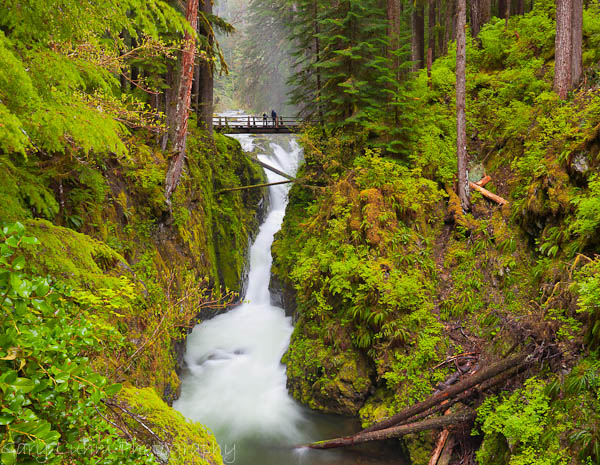 Solduc Falls