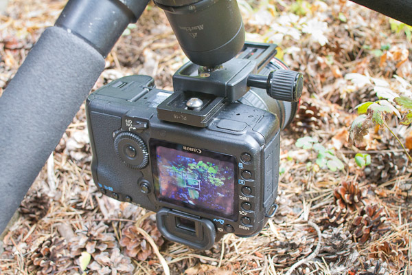 reverse-mounted center column