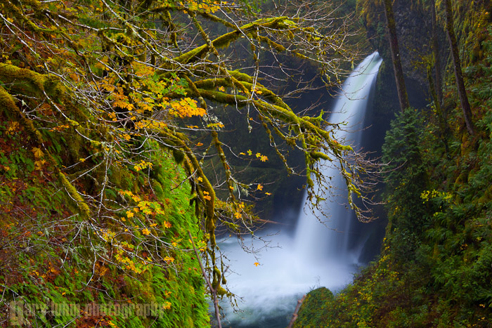 Metlako Falls at Eagle Creek
