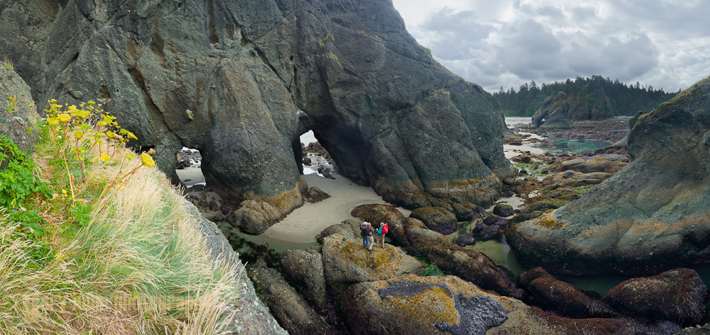 Point of Arches, Olympic National Park, Washington
