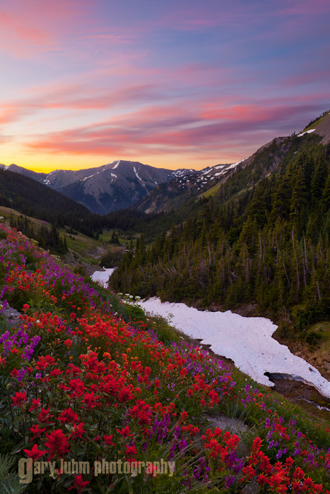 Badger Valley, Olympic National Park