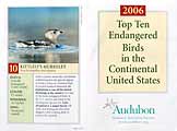 Audubon solicitation