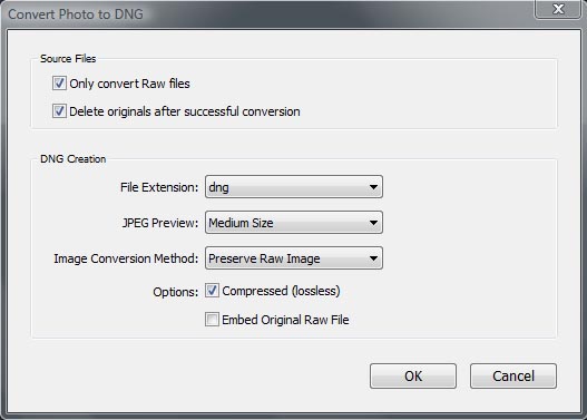 Lightroom DNG conversion dialog box