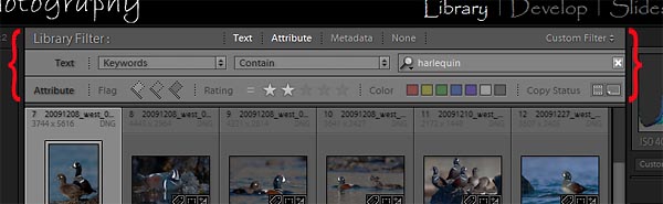 ligthroom filter bar