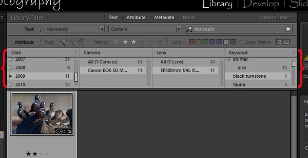 filter by metadata