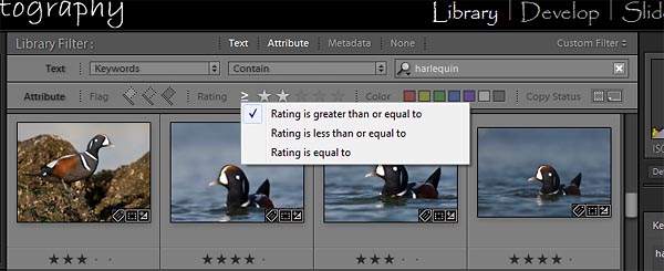 filter by attribute