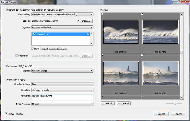Lightroom Inport Dialogue Box