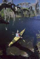 Myakka River State Park