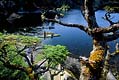 Baranof Island Baranof Island