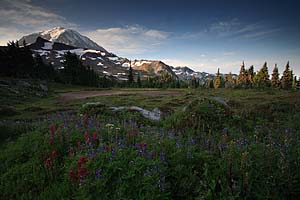 Spray Park, Mt. Rainier NP