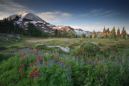 Spray Park, Mt. Rainier National Park