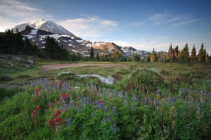 Spray Park, Mt. Rainier NP