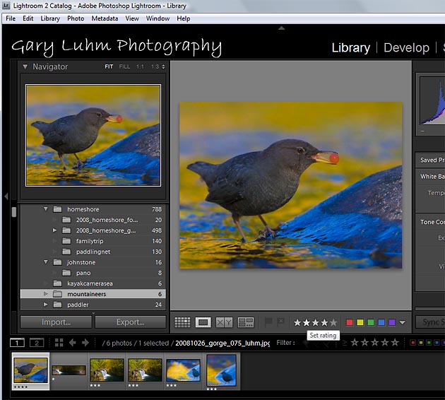 Adobe lightroom star rating