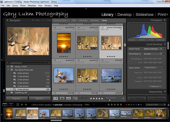 Adobe lightroom smart collection