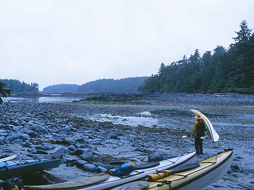 Deer Group, Barkeley Sound, BC