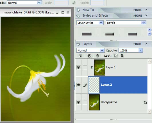 Elements 3.0 screen shot